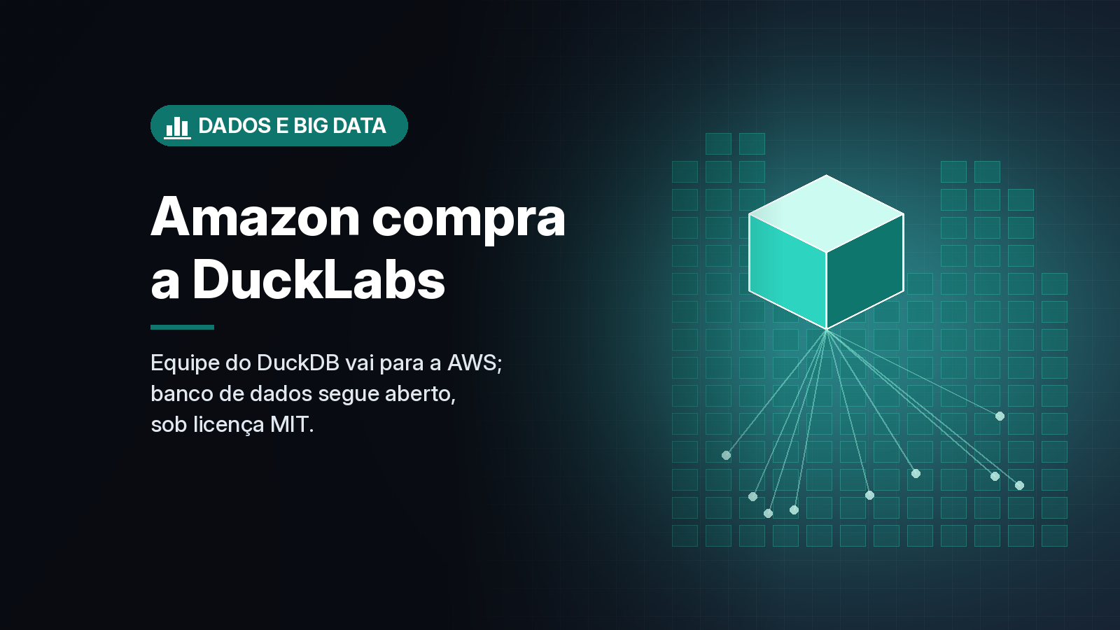 Amazon compra a DuckLabs, equipe por trás do DuckDB, e promete manter o banco de dados aberto